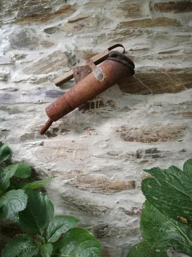 Celeiros O Ze Ja Dormiu Aqui 빌라 외부 사진